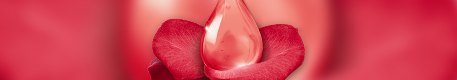 Četiri saveta za održavanje lepote kose o tome kako da pretvorite oštećenu kosu u kosu zdravog izgleda