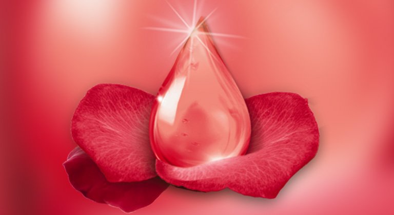 Četiri saveta za održavanje lepote kose o tome kako da pretvorite oštećenu kosu u kosu zdravog izgleda