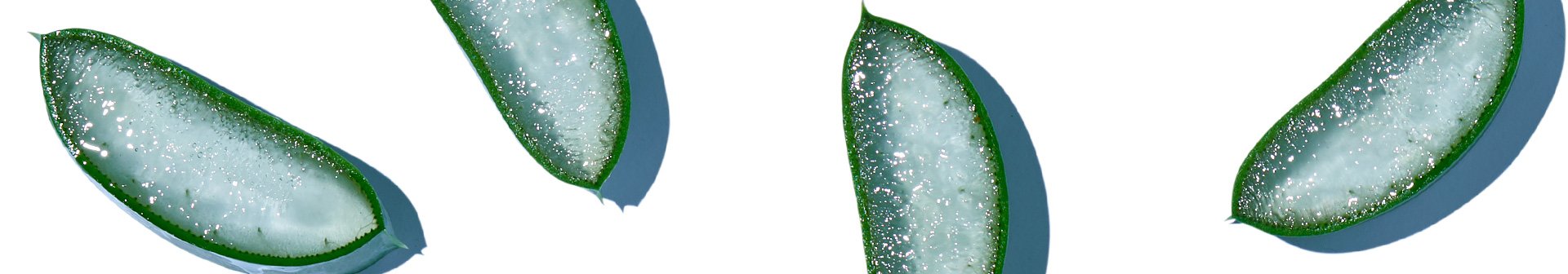 Otkrijte izuzetne hidrirajuće blagodeti svih oblika aloe vere u nezi kože