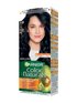 Garnier Color Naturals 2.10 Plavetno crna