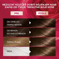 GAR COLOSENS brown 07