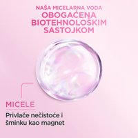GARNIER Micellar Classic 1x1 SRB 04